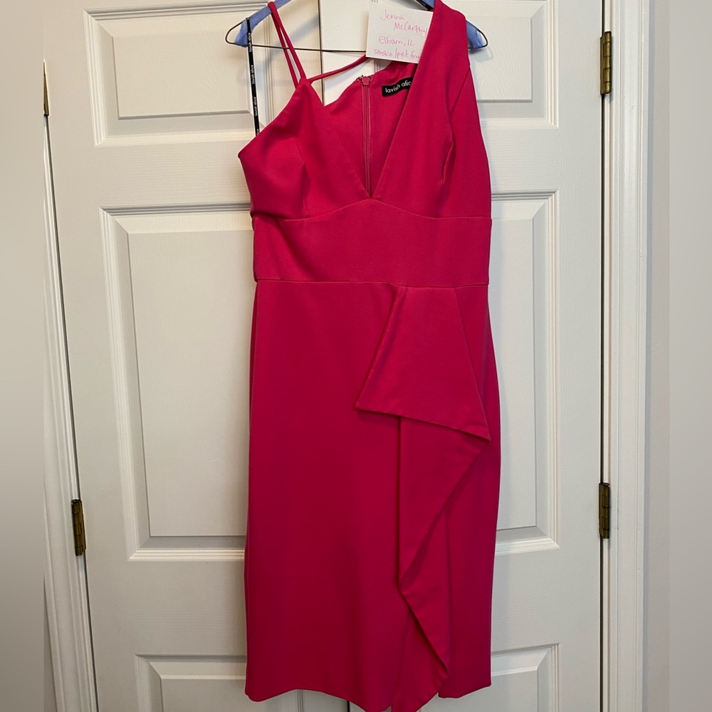 Lavish Alice hot pink dress